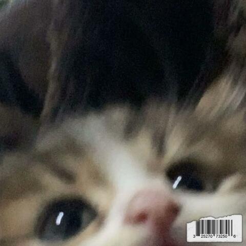 warp