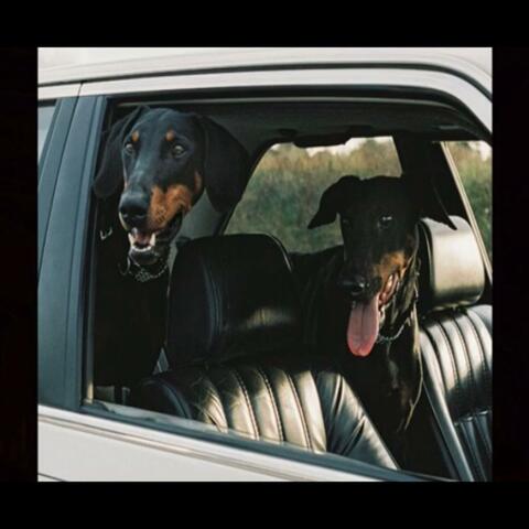 2 Dawgs (feat. Brodie Macck)