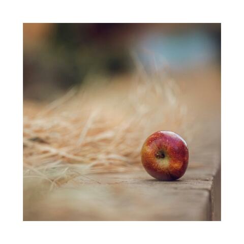 Apple Tree