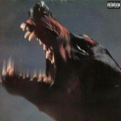 BANA SAKİN OL DEME!