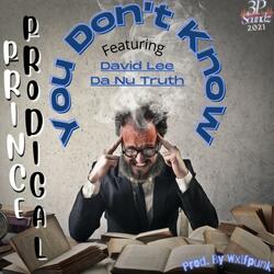 You Don't Know (feat. David Lee Da Nu Truth)