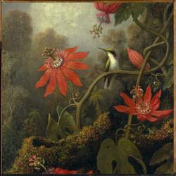 Good Credit Freestyle