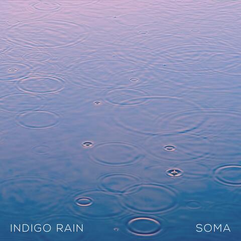 Indigo Rain