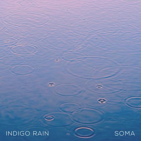 Indigo Rain