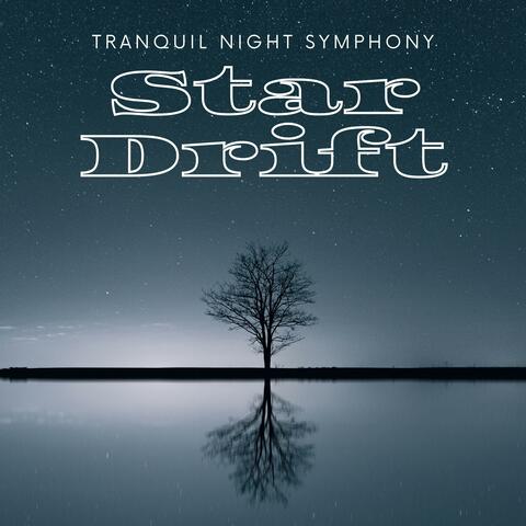 Tranquil Night Symphony
