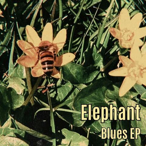 Blues EP