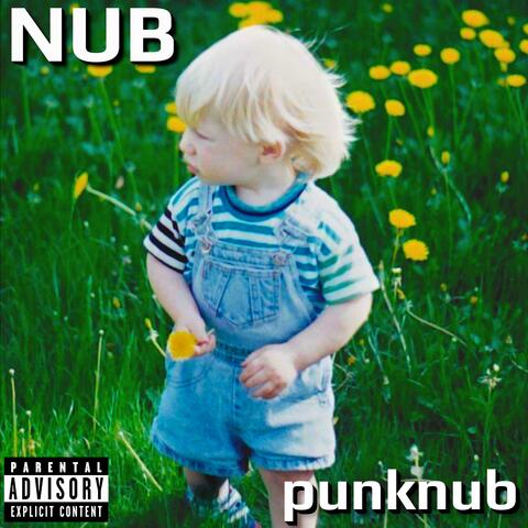 NUB