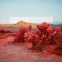 Technological Adolescence