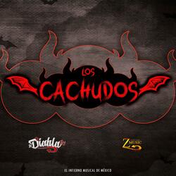 Los Cachudos