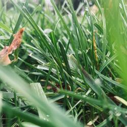 I Think It's Starting to Rain