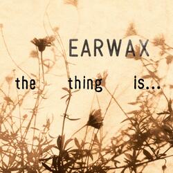 Earwax
