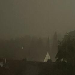 i'm the fool who lives a lie