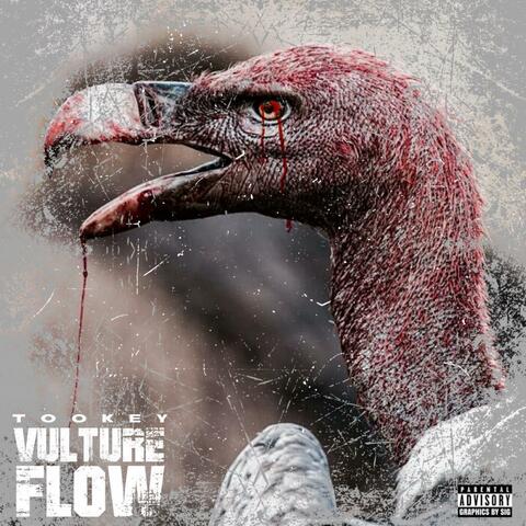 Vulture Flow