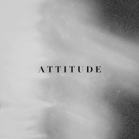 Attitude