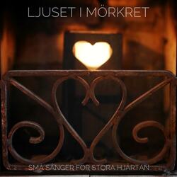 LJUSET I MÖRKRET