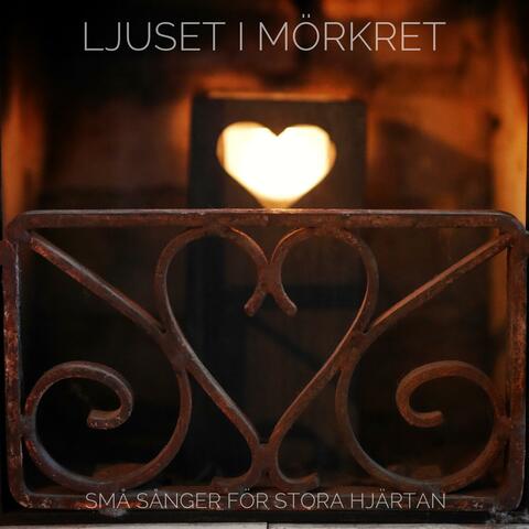 LJUSET I MÖRKRET