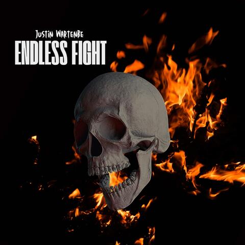 Endless Fight