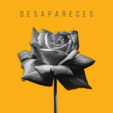 Desapareces