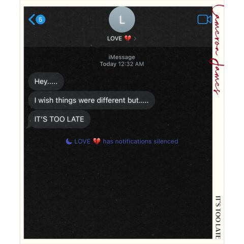 Its Too Late