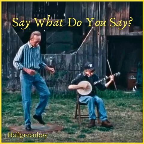 Say What Do You Say