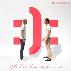 Als het dan toch zo is (feat. Michiel Van De Stadt)