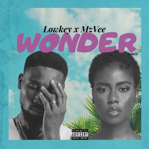Wonder (feat. MzVee) [Remix]