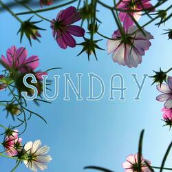 Sunday