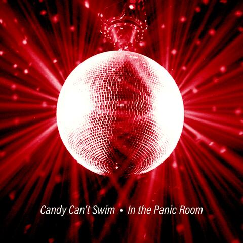 In the Panic Room
