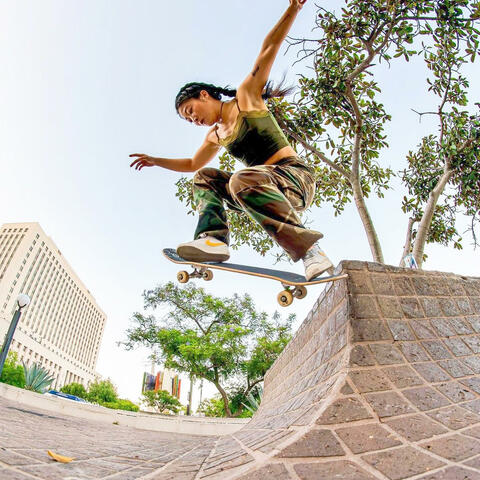 Skate Fantasy