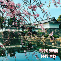 Fuck Swag 1449 Mix (feat. Full Control & Markus Revels)