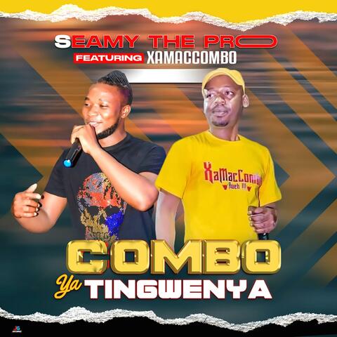 COMBO YA TINGWENYA (feat. XamaCcombo Wa Mhana Vafana)