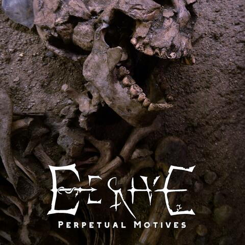 Perpetual Motives