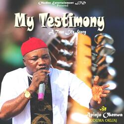 My Testimony (A True Life Story)