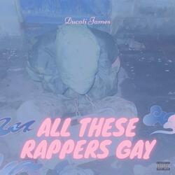 all these rappers gay