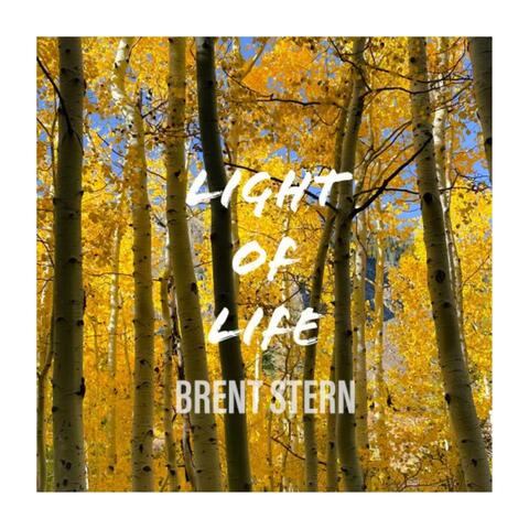 Light of Life