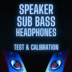 White Noise Signal Speaker Calibration