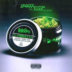 Slurricane (feat. Domer $pliffson)