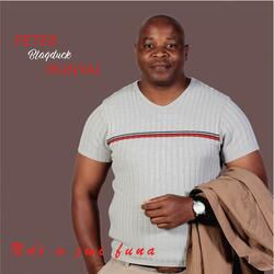Ndi a zwi funa