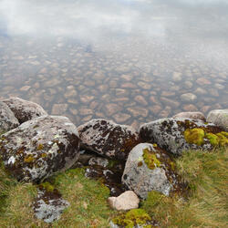 remembering on the walk home