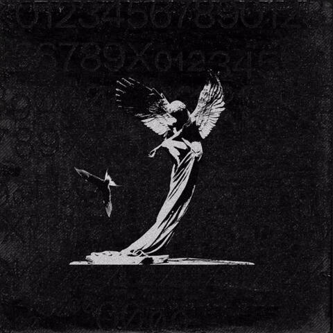 Angels & Doves