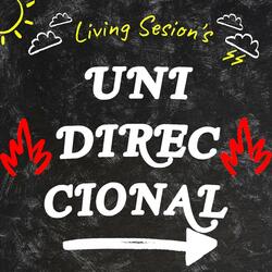 Unidireccional