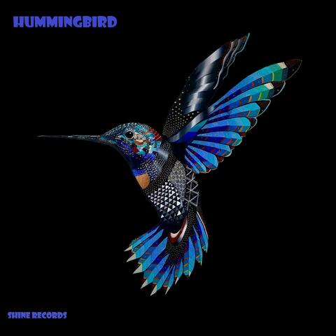 Hummingbird