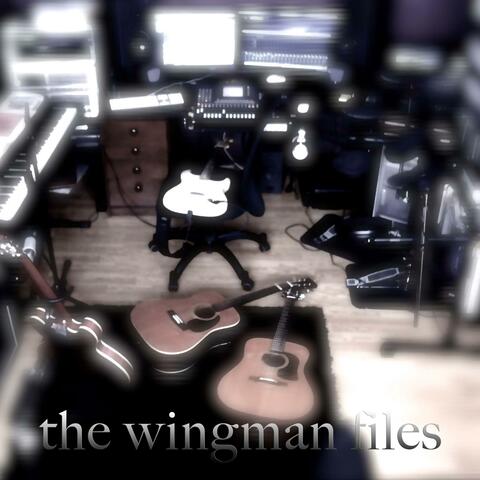 The Wingman Files