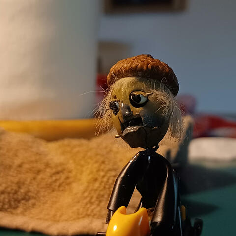 Acorn Head Man