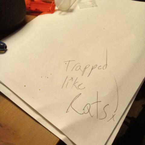 TRAPPED LIKE RATS!
