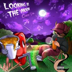 Looking At The Moon