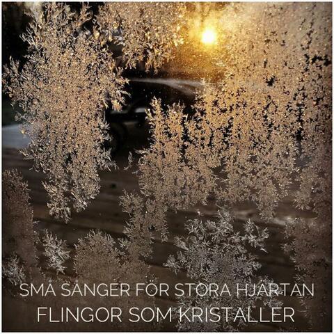 FLINGOR SOM KRISTALLER