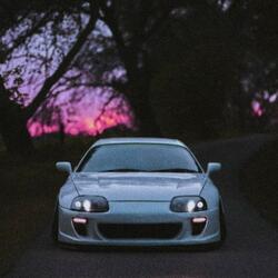 SUPRA RATATATATA 2.0