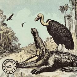 Alligator Stomp
