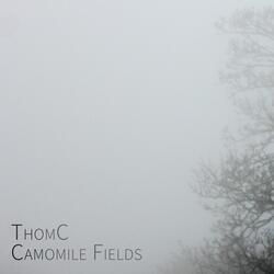 Camomile Fields